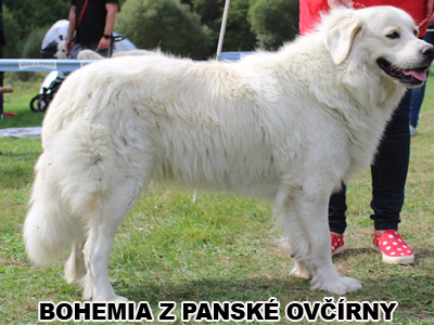 postoj