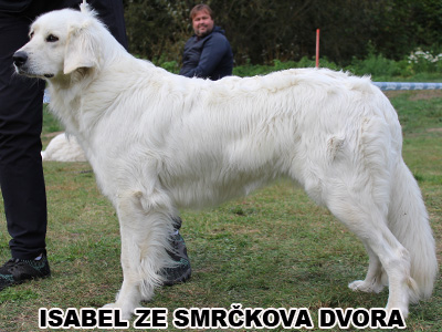 postoj