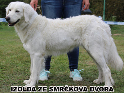 postoj