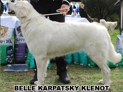 postoj