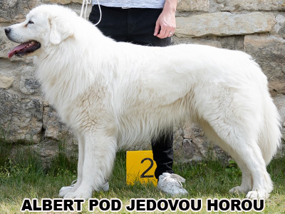 postoj