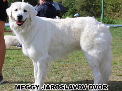 postoj