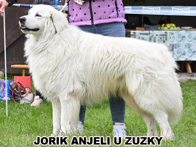 postoj