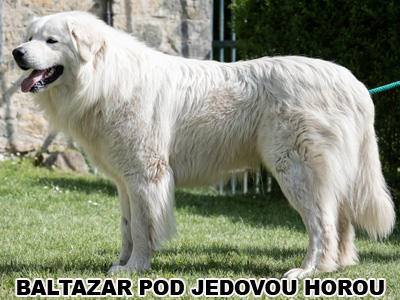 postoj