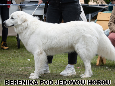 postoj